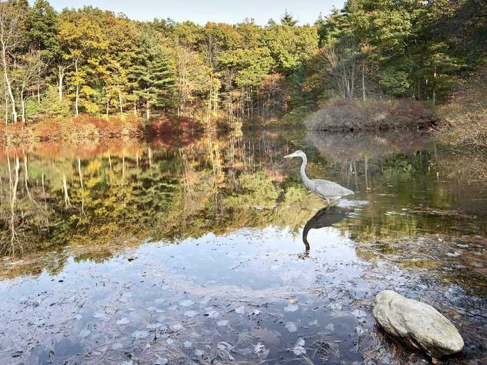 MASSACHUSETTS: Walden Pond