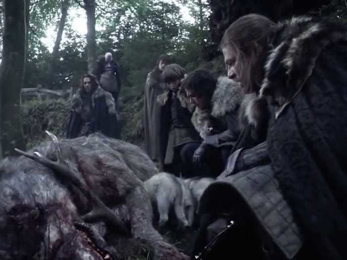 Name all six of the Stark direwolves.