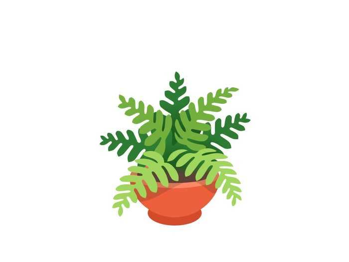 20. Potted plant