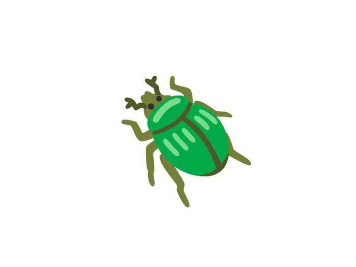 5. Beetle