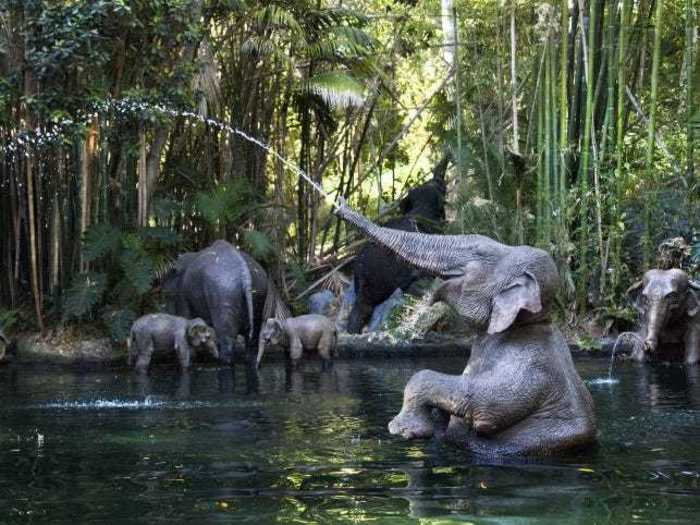 Walt Disney originally planned to have real animals in the African section of the Jungle Cruise.