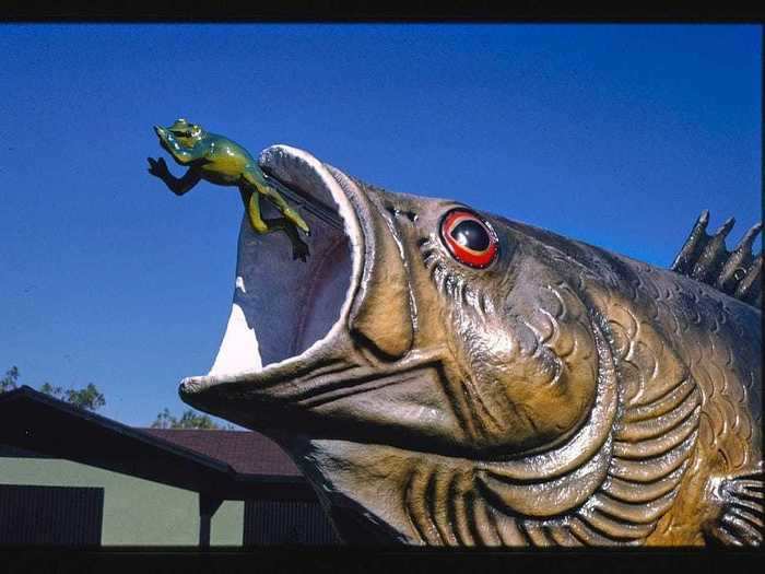 25. The Freshwater Fishing Hall of Fame in Hayward, Wisconsin, photographed in 1988.