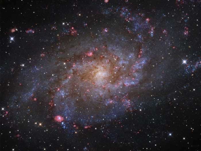 Rui Liao, from China, submitted this enchanting photo of the Triangulum Galaxy.