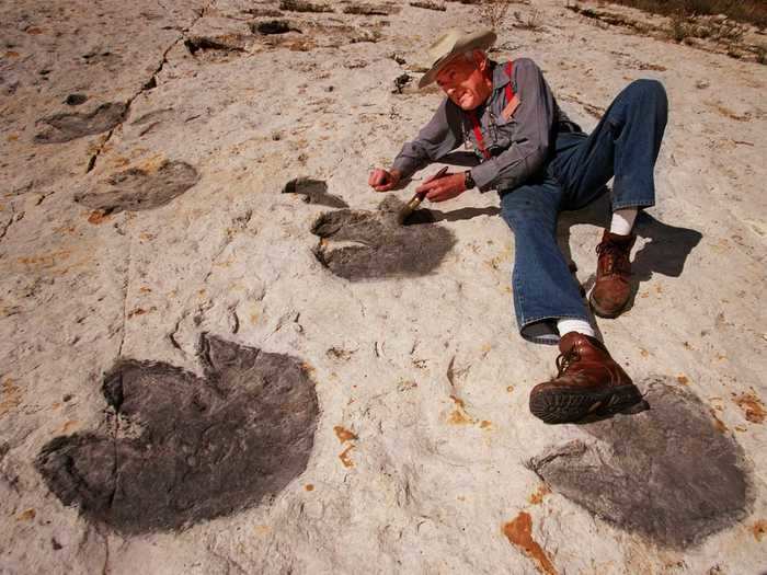 At Dinosaur Ridge, visitors can hike a trail full of 250 preserved dinosaur tracks from three dinosaurs and one crocodilian, per the company