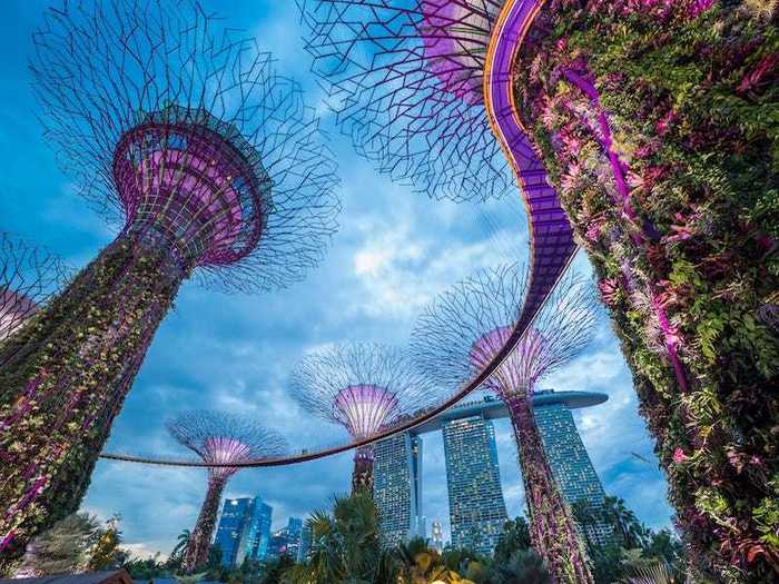 SINGAPORE: Supertree Grove