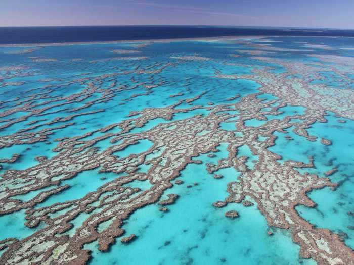 AUSTRALIA: Great Barrier Reef