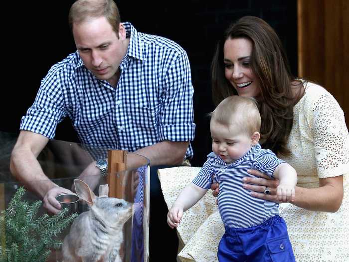 When he met a bilby at the zoo: