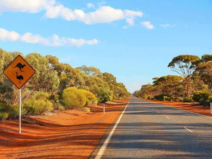 The two brothers wound up back in Australia before year