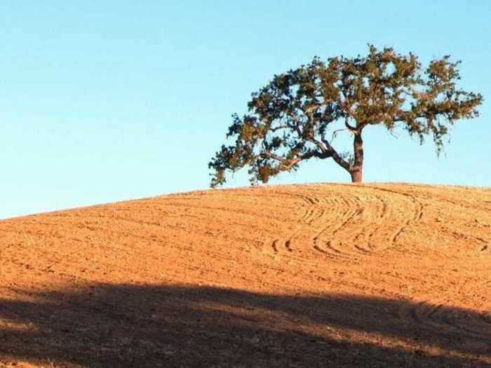 A small lodge or B&B - Paso Robles, California