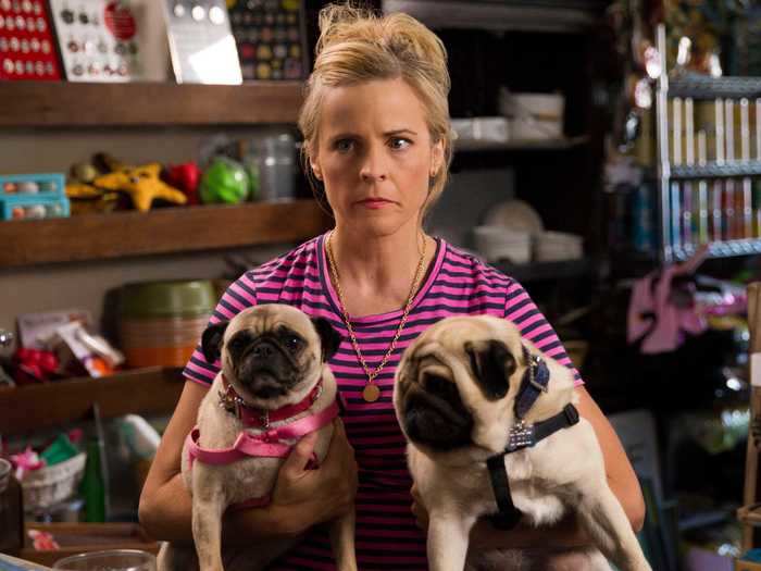 “Lady Dynamite” was hailed as a fresh and innovative comedy.