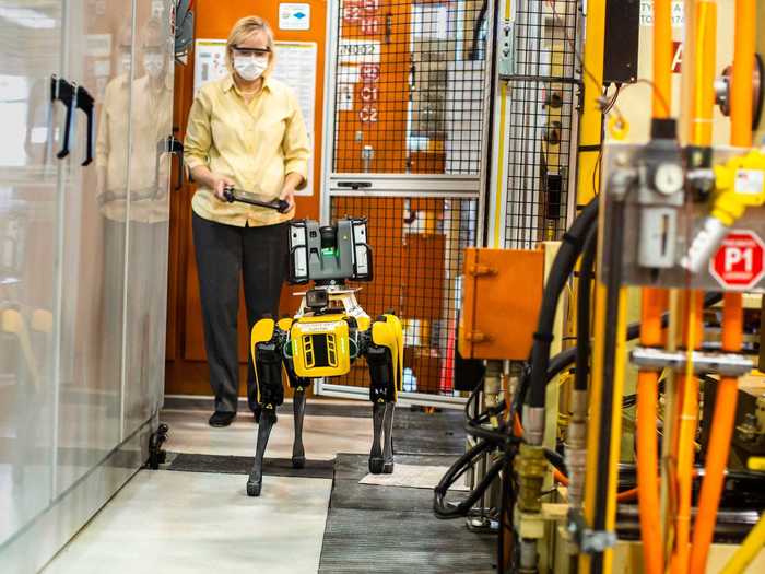 The robots were named Fluffy and Spot by Paula Weibelhaus, their handler at Ford.