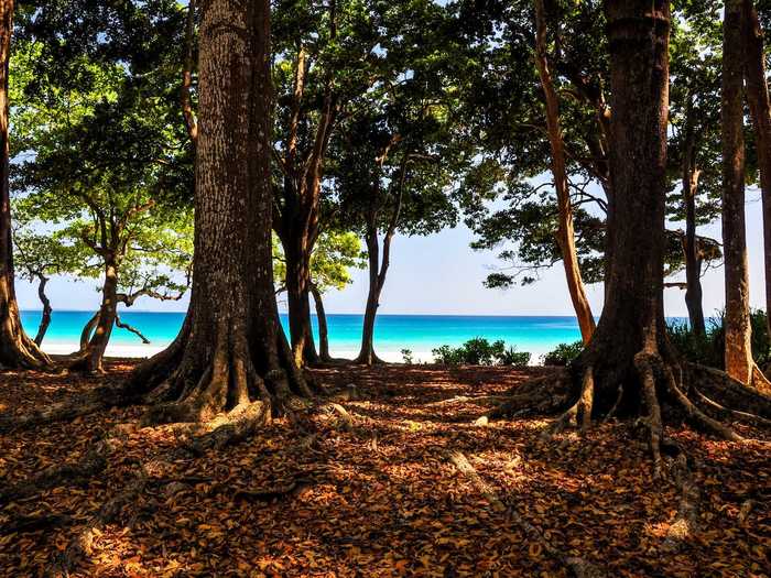 12. Radhanagar Beach, Havelock Island, Andaman and Nicobar Islands, India