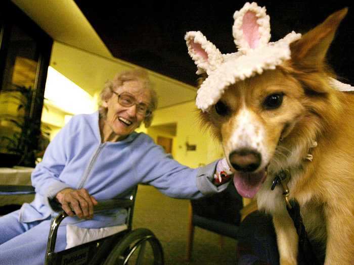 Kirby is just one of many pups involved in the Pet Assistance Therapy program at Torrance Memorial Medical Center.