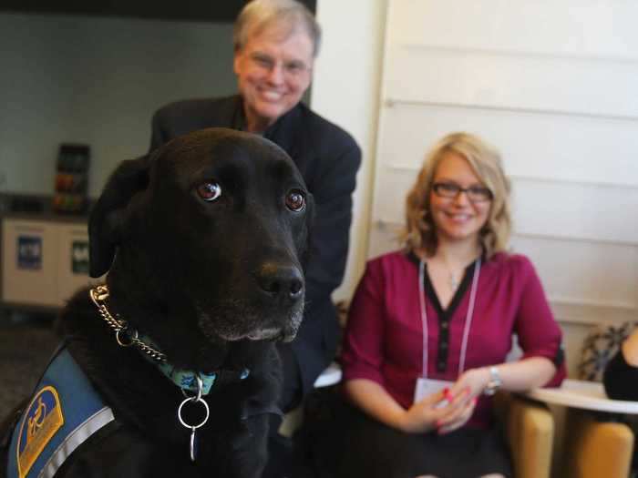 Molly sits in courtrooms to help calm victims of abuse.