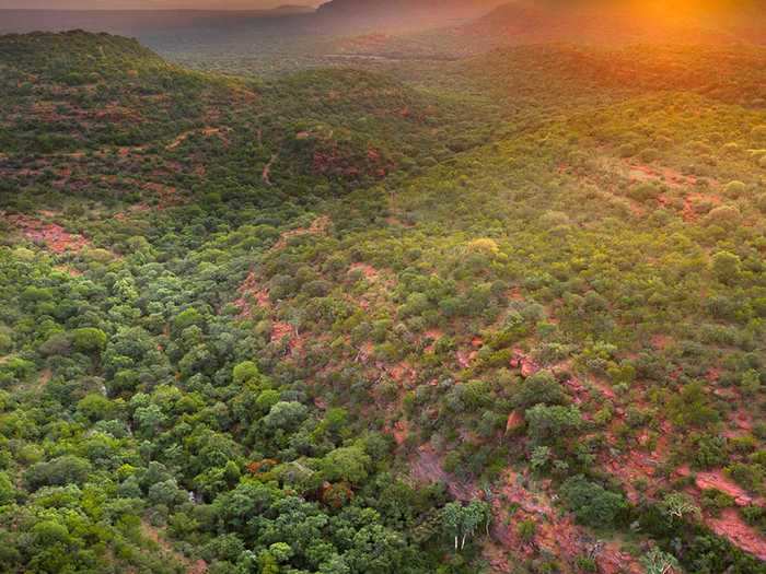 "This building is a careful and direct response to this particular portion of this particular riverine forest of this particular portion of the Waterberg of this particular portion of the Bushveld," the studio wrote. "This architecture could exist nowhere else in the world.