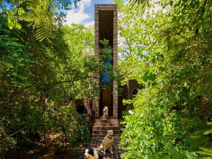 The result is a long, custom, and seriously skinny building that appears to float through the tree canopy.