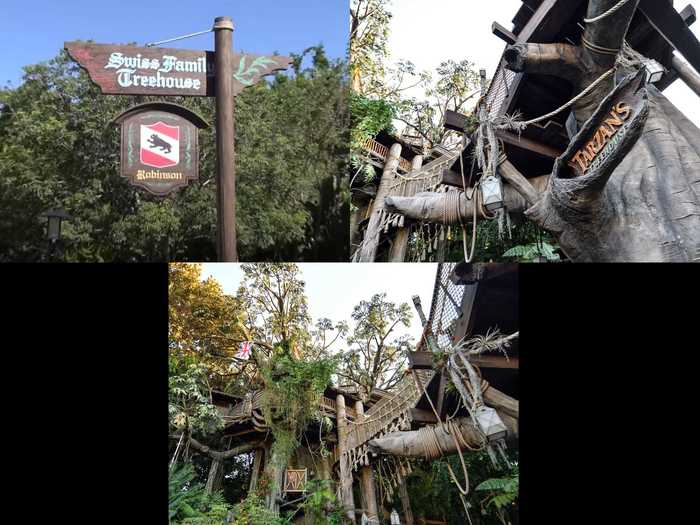 The Swiss Family Treehouse was re-themed after Tarzan at Disneyland.