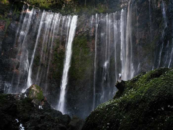 "Deep in the Indonesian jungle" by Sjoerd Bracke