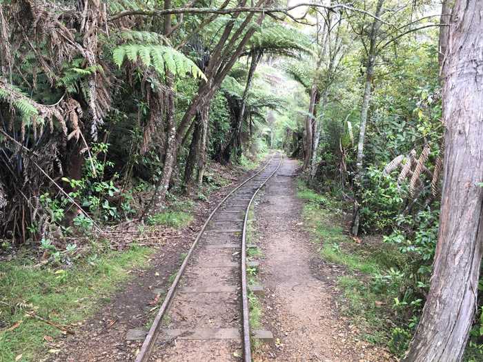 The empty tracks leading into a thick forest made for an eerie hike.