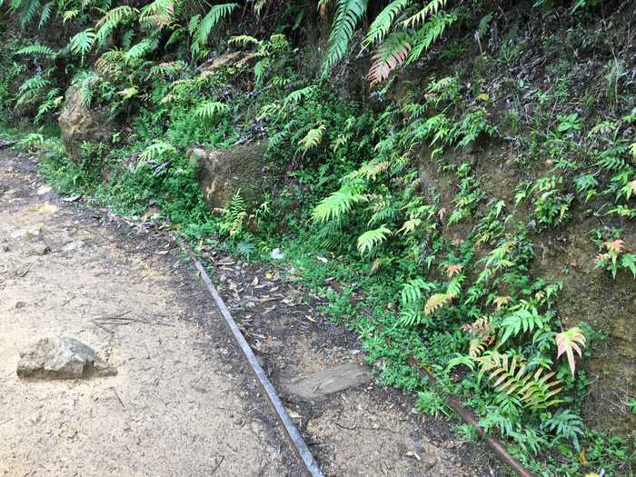 Sections of the old tracks end abruptly, obscured by dirt and shrubbery.