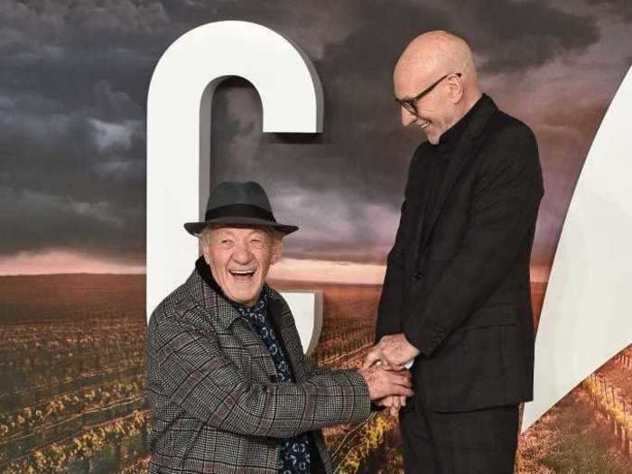 Patrick Stewart and Ian McKellen have been friends for 20 years.