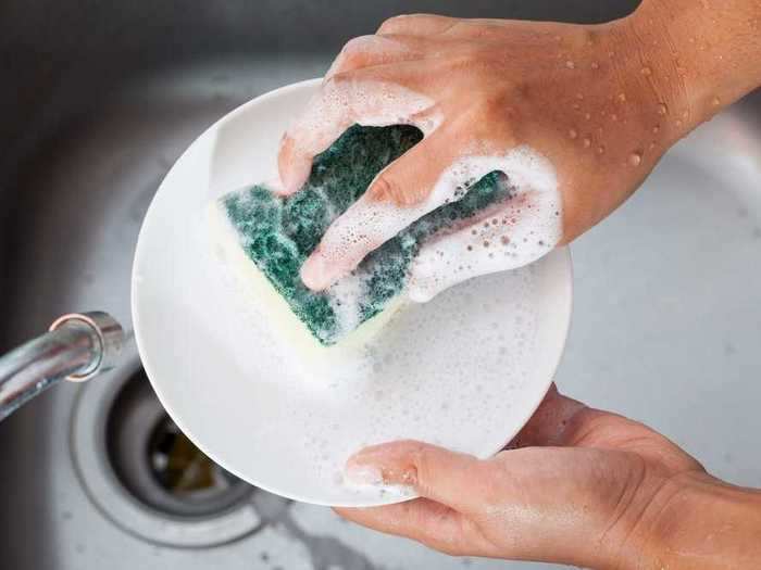 Dish cleaning sponges shouldn