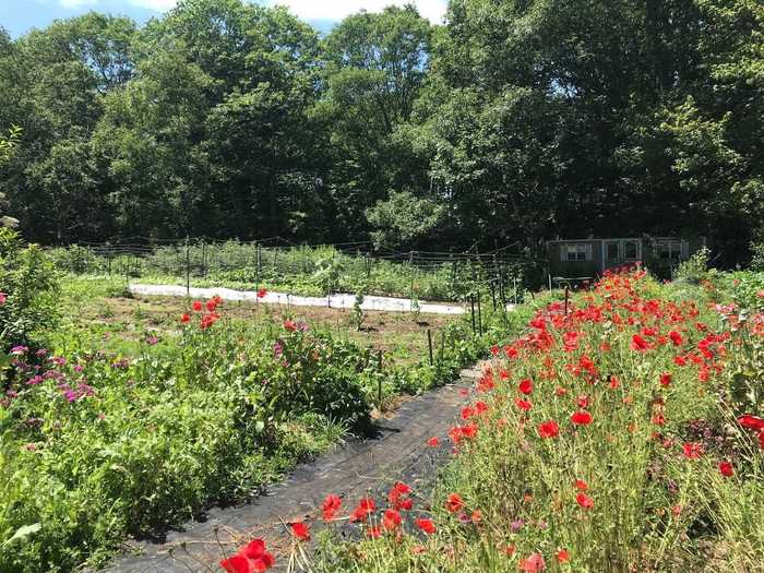 The farm is run by a couple in their 70s who have cultivated this property in Maine over the past two decades.