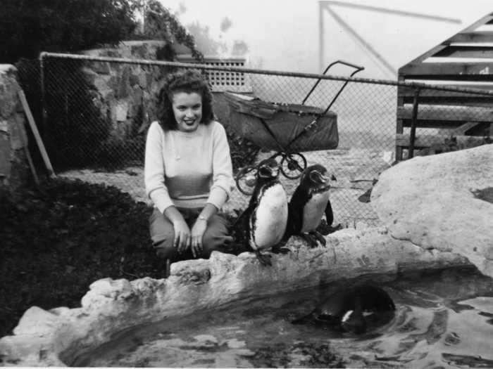 Here, Norma Jeane Baker is pictured on a trip to the zoo.