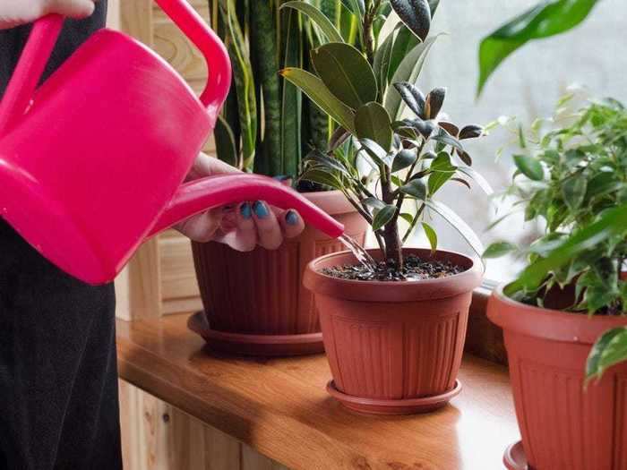 Remove any plants that are crowding your windowsills.