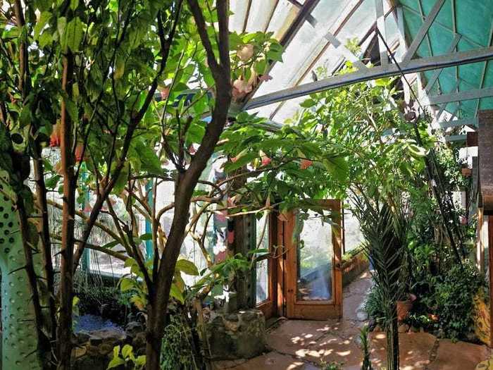 The traditional Earthship design includes large windows where plants, vegetables, and fruits can be grown, creating a lush environment in the middle of the desert.