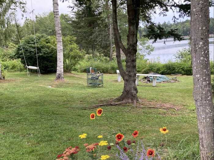 The physically distanced garden tour the public library recently hosted.