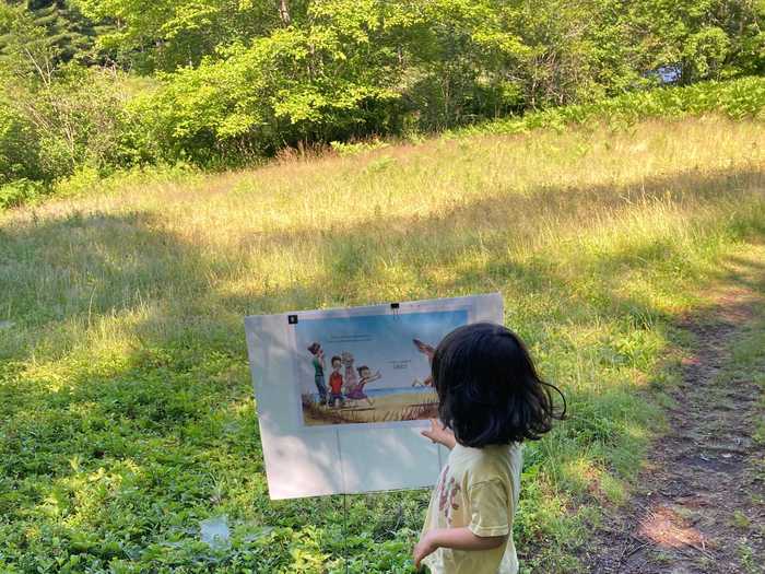 The library that, in lieu of regular programming while closed to the public, scattered poster-size pages of a picture book across its gardens for readers to safely enjoy outside.