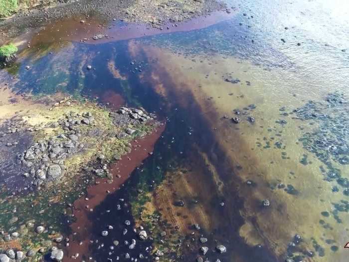 Oceanographer and environmental engineer Vassen Kauppaymuthoo told AFP that it may already be "too late" to contain the leaking tanker. "If the ship breaks in two, the situation will be out of control," he said.