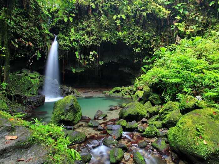 Explore isolated waterfalls and hot springs on a trip to Dominica.