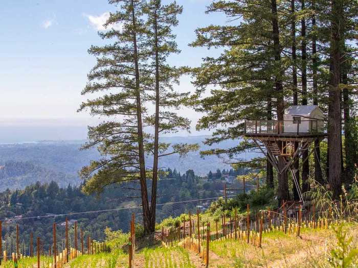 Vineyard tree house in Los Gatos, California, $237
