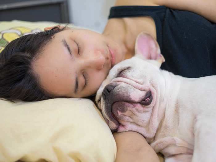 Dogs will often rub their faces on people they adore.