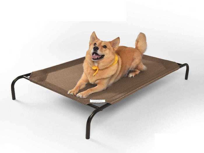 The best elevated bed