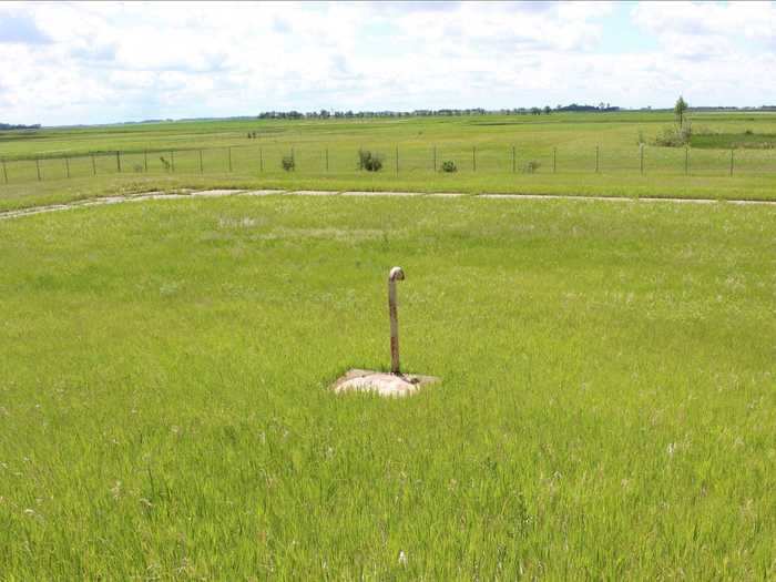 The property is double fenced, so it could provide privacy and security for anyone willing to take on the work of a major fixer-upper.