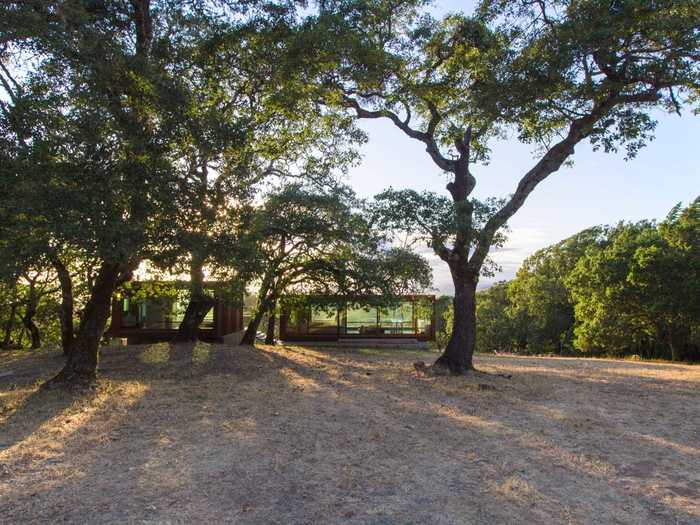 They were placed on a hill surrounded by oak trees, positioned specifically for the views.