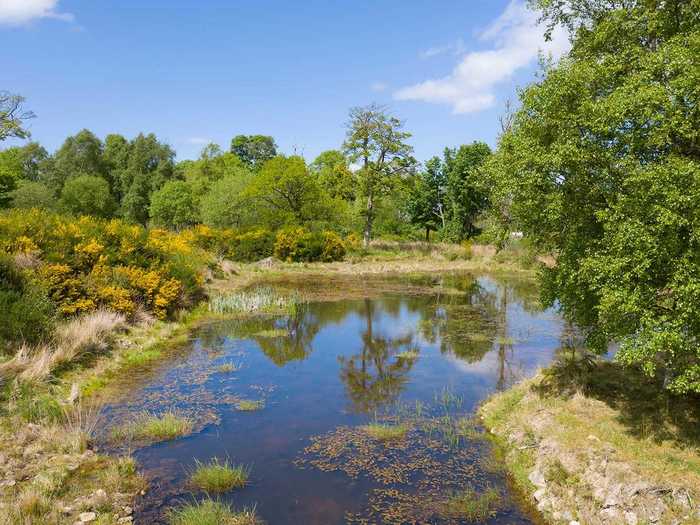 There are sweeping lawns, ponds, and woodlands ...