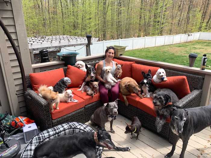 The couple said they never set out to live with 21 dogs, it just happened naturally.