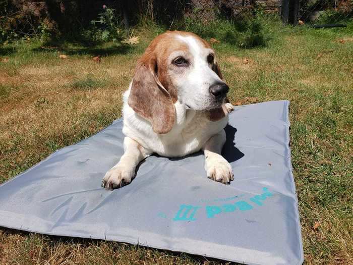 The best cooling mat overall