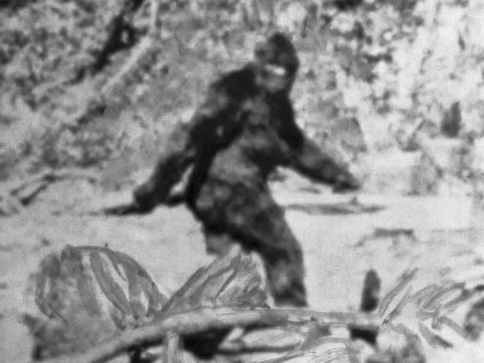 WASHINGTON: Bigfoot