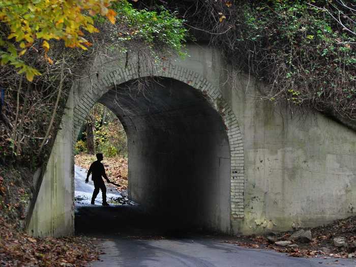 VIRGINIA: The Bunnyman