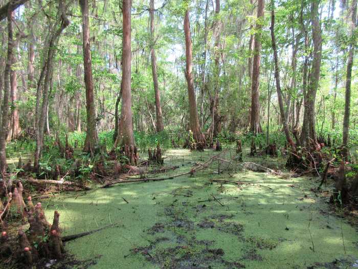 LOUISIANA: The Grunch