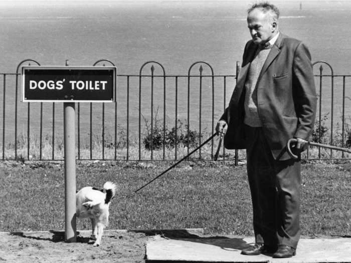 Luckily, this dog knew exactly where he was supposed to do his business.