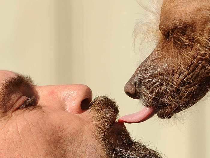 This photographer managed to capture a smooch between dog and owner.