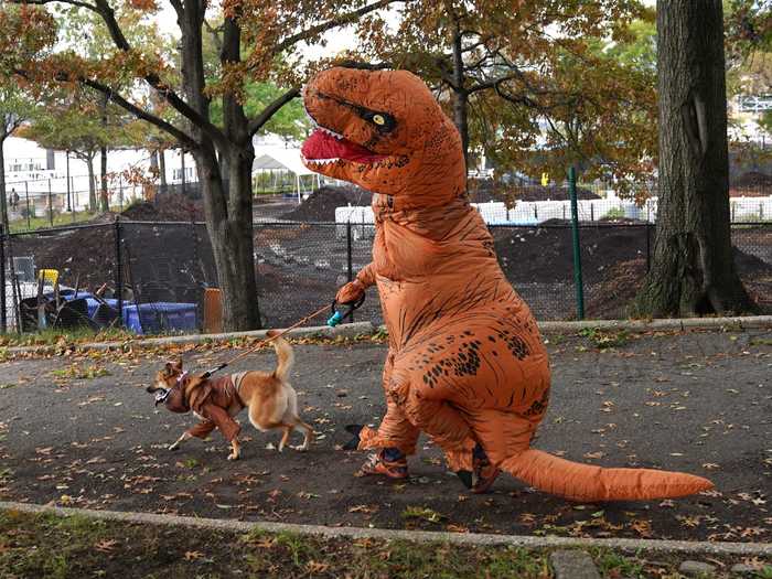 Only in New York would you come across a dinosaur walking his dog.