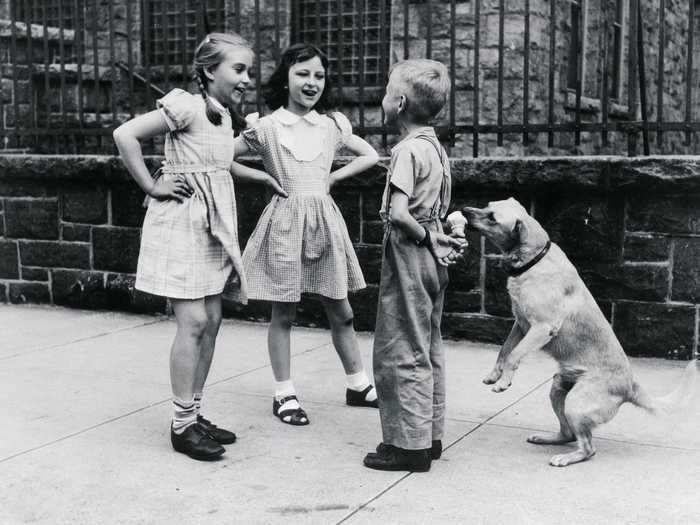 This little guy was too busy chatting up some girls to realize his furry friend was chowing down on his ice cream.