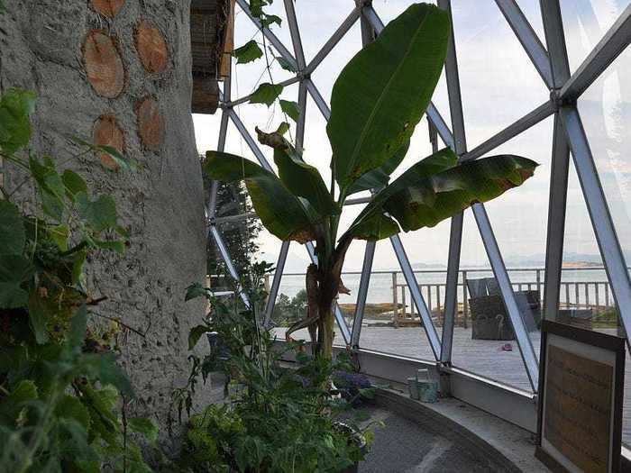 Inside the dome-shaped abode, the Hjertefolgers are able to grow their own produce.